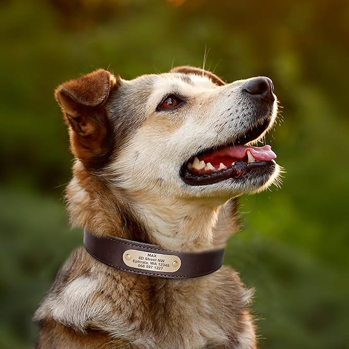 Didog Genuine Leather Dog Collars with Engraved Nameplate, Personalized Soft Leather Dog Collar with Custom ID Tag, Brown/Green/Red for Medium Large Dogs (L,Brown)