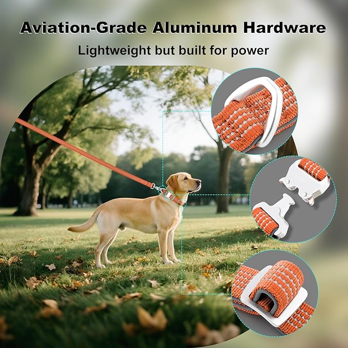 Plutus Pet Reflective Dog Collar with Aviation Aluminum Buckle, Neoprene Padded for Comfort, Lightweight, Heavy Duty Nylon Collar for Puppy Small Medium Large Dogs (Orange, M)
