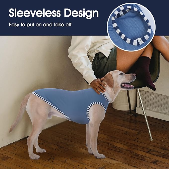 IECOii 2 Pack Dog T-Shirt for Small Dogs | Breathable Stretch Fit for Summer, UV Sun Protection for Chihuahua & Cats, Grey+Blue,M