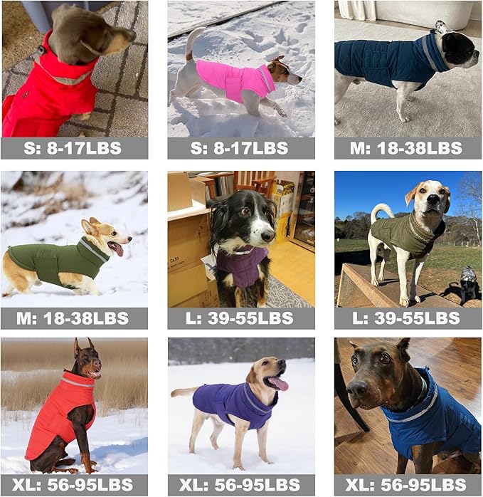 Dog Coat, Waterproof Winter Jacket, Warm Windproof Jacket, Reflective Adjustable Turtleneck Coats for Medium Dogs with Hook & Loop - Green - M