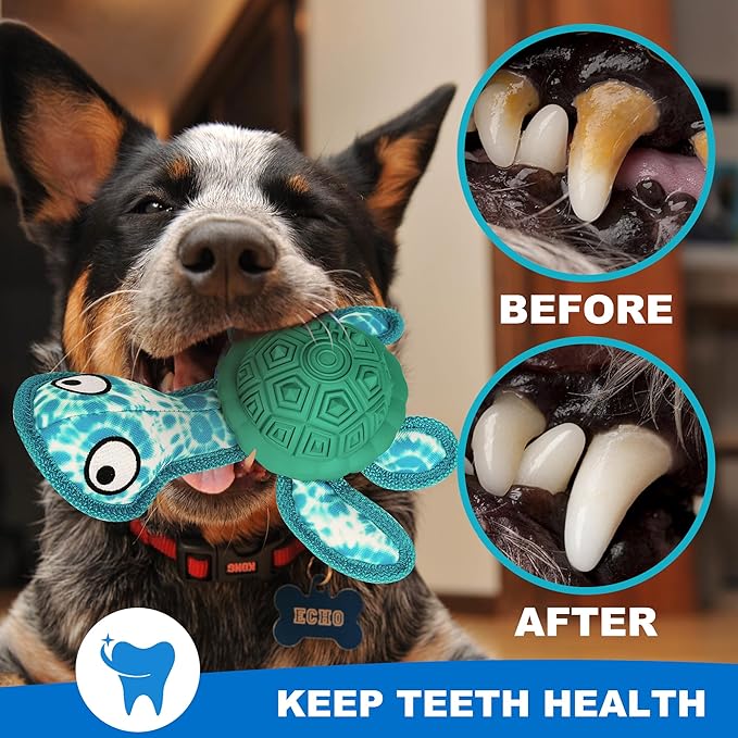 Dog Chew Toys,Puppy Teeth Chew Toys Durable Rubber Material Turtle Shape Dog Toys with 2 Tennis Ball (Green)