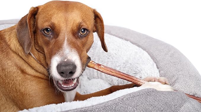 Vitakraft Dog Bully Sticks, 12 inch, 5 Count, 12 oz.