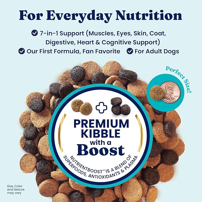Solid Gold Lamb Dog Food Dry for Adult & Senior Dogs– High Protein Healthy Dog Kibble for Medium & Large Breeds – Whole Grain, Omega 3 & Probiotics for Gut Health & Digestion – Nutrientboost™ –22LB