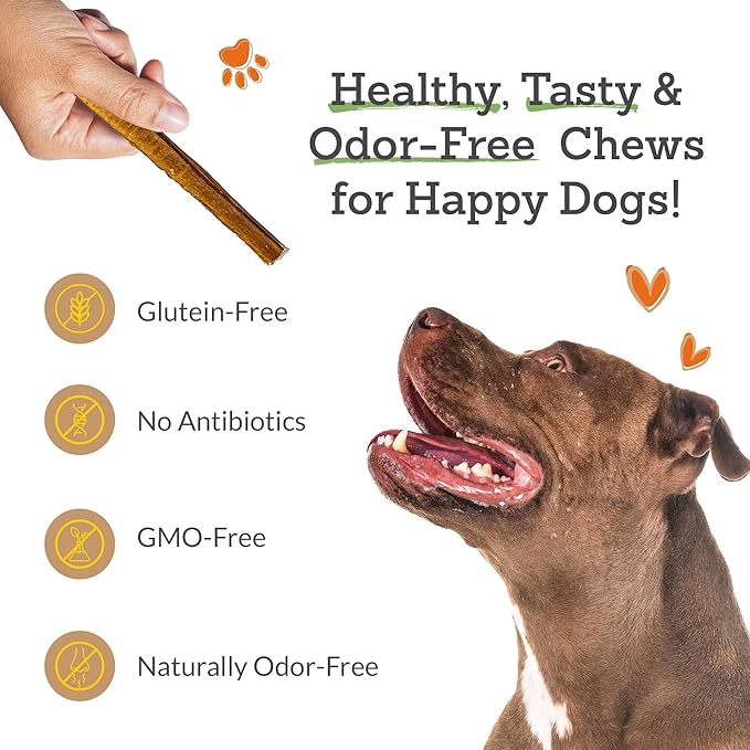 Advance Pet Products 6 Inch Bully Sticks (Pack of 10) - 100% Beef, Odor Free Dog Chews for Aggressive Chewers - Long Lasting, Gluten-Free, Easy to Digest, High Protein & Rawhide Free Chews for Dogs