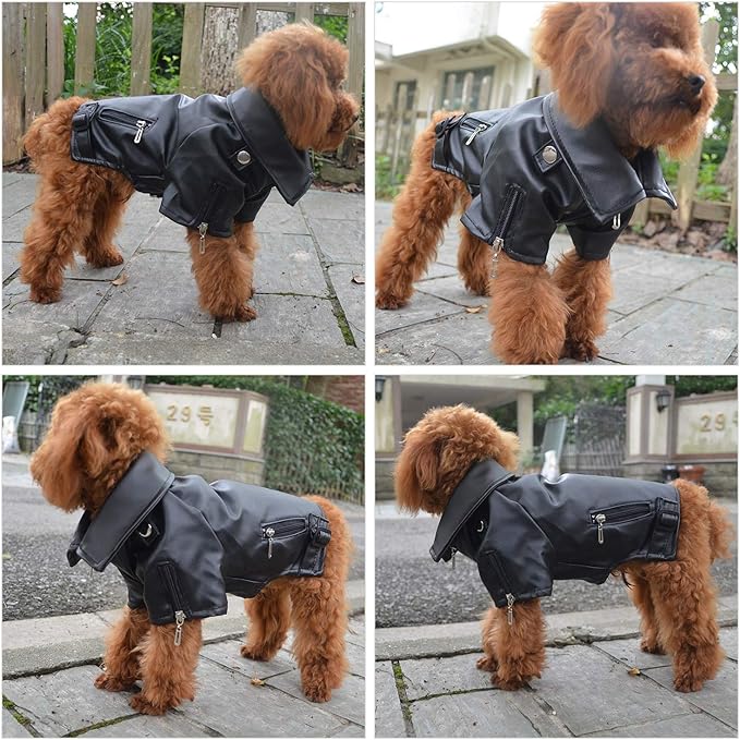 Lovelonglong Cool Dog Leather Jacket, Warm Coats Dogs Windproof Cold Weather Coats for Large Medium Small Dogs, Yorkshire Terrier Clothing Black S