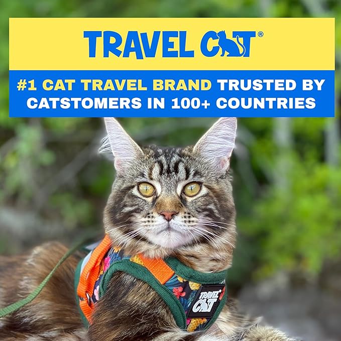 Travel Cat Harness and Leash Set - Adjustable Fit Mesh Cat Harness and Reflective Strap - Comfort Walking Vest for Kitten for Outdoor Walking, Hiking (Small, Hawaiian)