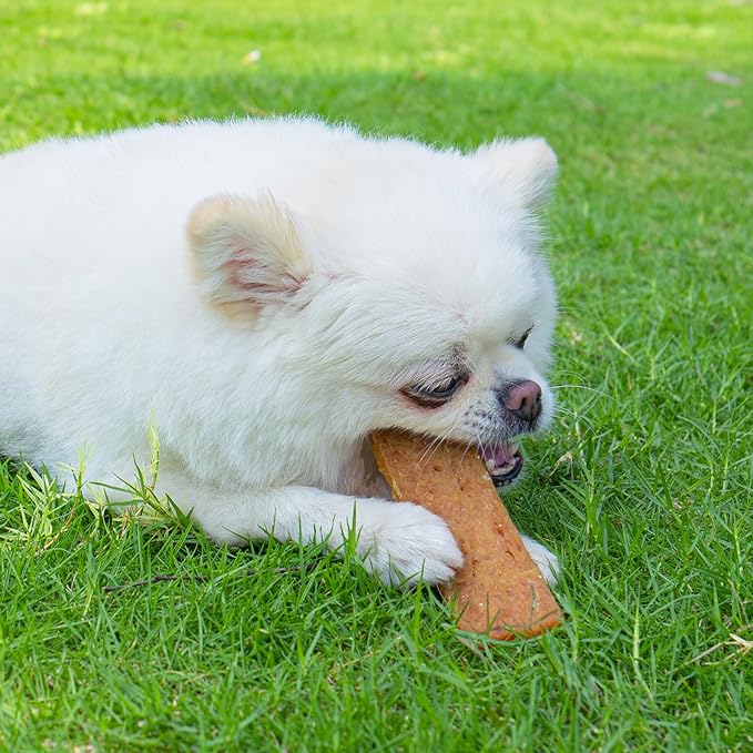 MON2SUN Dog Treats Chicken Jerky Pumpkin Flavor, Rawhide-Free, Gluten-Free, Healthy Jerky Snacks for Small Dogs, 10.6 oz