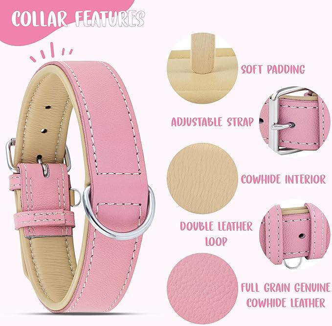 Riparo Pink Dog Collar, Dog Collar for Large Dogs, Leather Dog Collar (XL: 1.75" Wide for 21”-25” Neck, Pink)