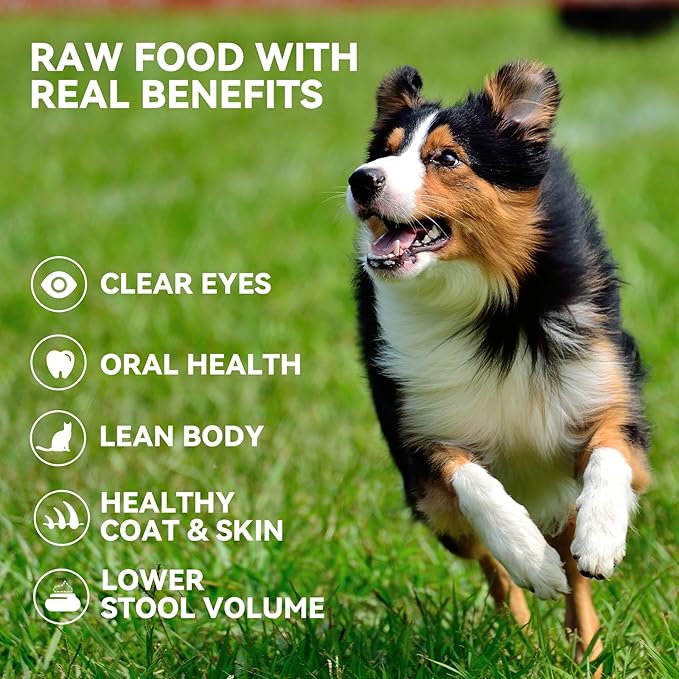 OPET Freeze Dried Chicken Cat Treats, Single Ingredient Grain Free High Protein Pet Food for Cats and Dogs, Healthy Training Snacks, Freeze Dried Cat Food (Chicken Breast, 5.92 Ounce)