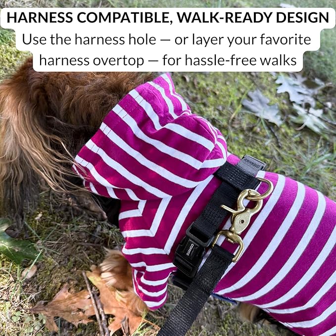 DJANGO Dog Hoodie – Warm, Lightweight, Soft & Stretchy Dog Sweater with Hood, Harness Hole & Elastic Waistband – Cozy Sweatshirt for Small Dogs up to 25 lbs, Dachshunds & Puppies – Boysenberry, Small