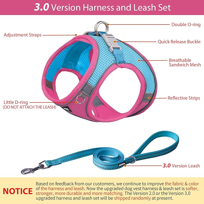 AIITLE Comfortable Dog Harness and Leash Set for Walking - Summer Step in Vest Harness,Reflective Bands, Adjustable No Pull Puppy Essentials, for Small Dogs and House Cats Hot Pink XS