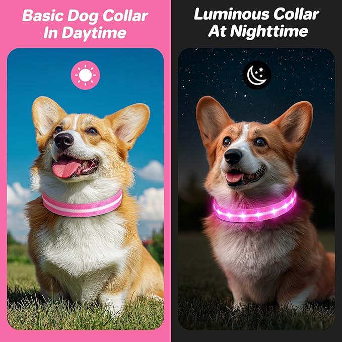 PcEoTllar Light Up Dog Collars, Led Dog Collar, Rechargeable, Night Walking, Waterproof, Glow in The Dark Dog Collars Light for Large Small Medium Dogs, Pink s