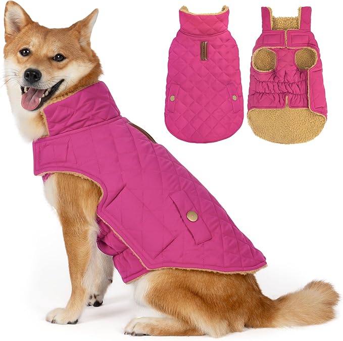 Dog Coat, Warm Soft Dog Winter Coats for Small Dogs, Waterproof Windproof Dogs Adjustable Jacket with Fleece Lined Turtleneck Doggy Snowsuit with Leash Hole, Rose Red Large