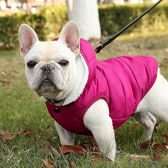 Fleece Hoodie for Dogs - Windproof Waterproof Coat, Winter Warm Jacket, Cold Weather Pet Apparel Clothes Vest for Small Medium Large Dogs (L, Pink)