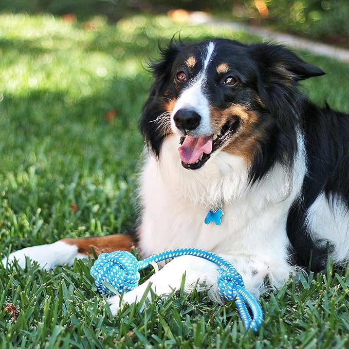 Pacific Pups Products Dog Rope Toys for Medium Dogs 11 Pack (2 Pack)