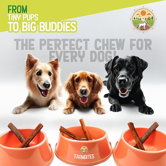 Bully Sticks for Dogs – 100% Natural, Odor-Free, Air-Dried Beef Pizzle, Grain-Free & Fully Digestible Dog Chews – Long Lasting Treats for All Breeds (6 Inch, 25 Pack)
