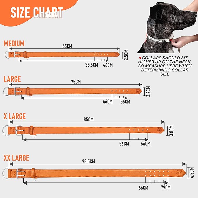 Riparo Dog Collar - Genuine Leather Dog Collars - Heavy Duty Dog Collars for Medium Large and Extra Large Dog Breeds (XL: 1.5” Wide for 22” - 26” Neck, Orange)