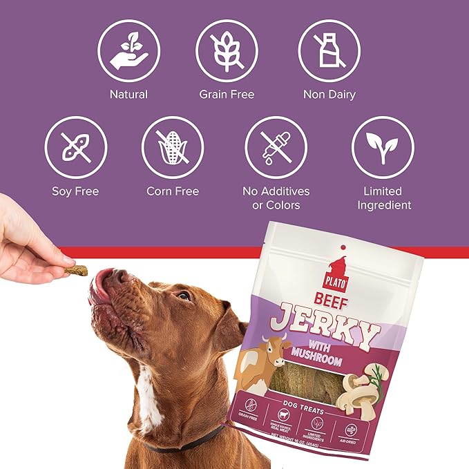 PLATO Pet Treats Jerky Dog Treats - Air-Dried Beef Jerky with Mushroom - Grain Free, High Protein - 16oz