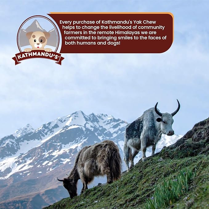 KATHMANDU'S Authentic 100% Natural Himalayan Yak Cheese Dog Chews – Large (Pack of 4) | High Protein, Delicious & Long-Lasting Dog Treats for Aggressive Chewers | Odor & Gluten Free Chews