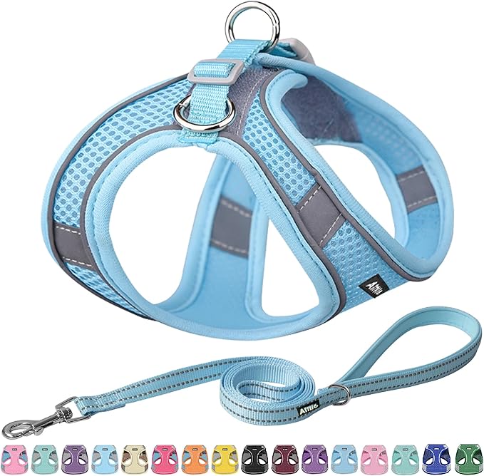 AIITLE Easy Walk Dog Harness and Leash Set - Pet Supply No Pull, Step in Adjustable Pet Harnesses with Padded Vest for Summer, No Choke Over, Easy to Put on Medium Dogs Pure Blue L