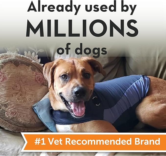 ThunderShirt for Dogs, X Large, Blue Polo - Dog Anxiety Relief Calming Vest