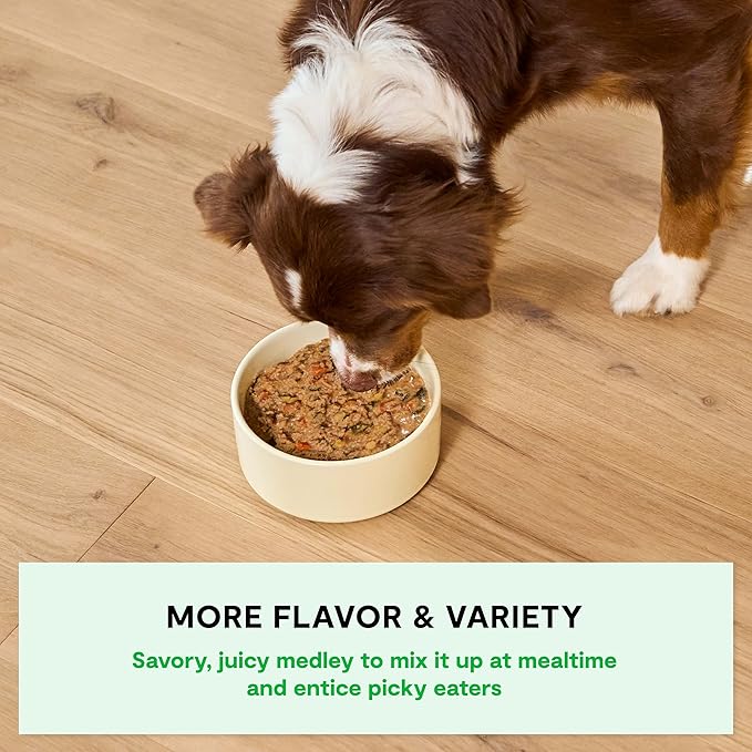 Open Farm Rustic Stews Wet Dog Food, Grain-Free, Complete & Balanced with Human-Grade Ingredients, Humanely-Raised Meat & Bone Broth, Homestead Turkey Recipe, 12.5oz Packs (Case of 12)