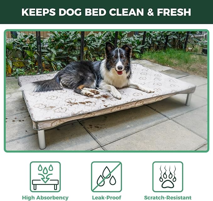 FXW TitanNest Chew-Proof Elevated Dog Bed, Raised Cot for Indoor/Outdoor/Camping Use, Durable & Washable Padded Pet Bed with Exclusive Cover for Small Dogs, 36.0" L x 24.0" W x 4.5" H, Gray