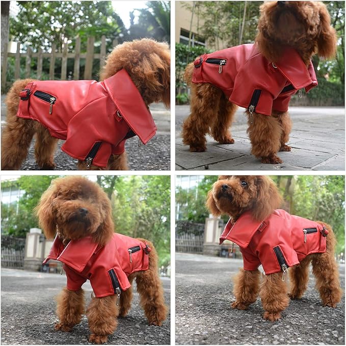 Lovelonglong Cool Dog Leather Jacket, Warm Coats Dogs Windproof Cold Weather Coats for Large Medium Small Dogs, Miniature Schnauzers Clothing Red L