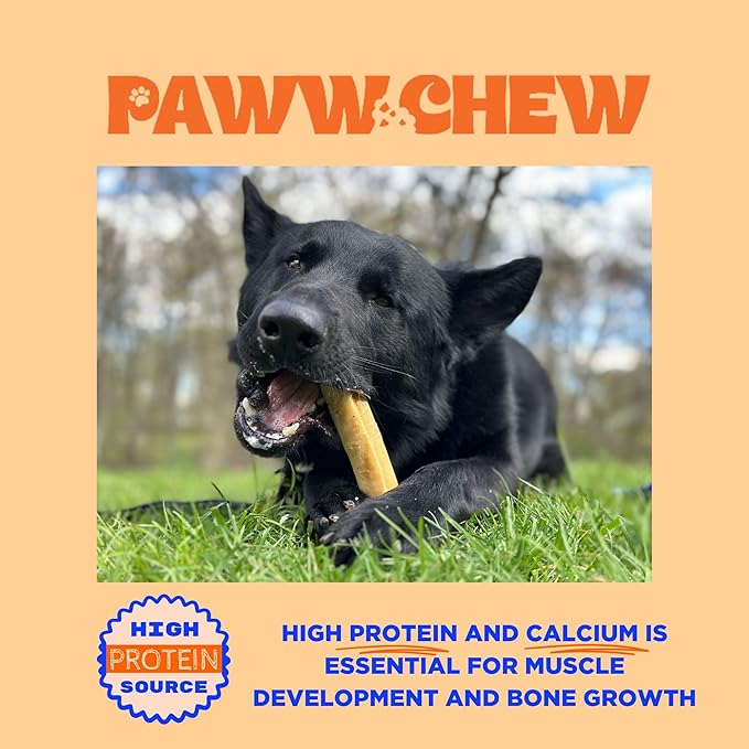 Paww Chew Yak Cheese Himalayan Dog Chews - All Natural Long Lasting Dog Treats, (Monster - 2 Pack) Odorless, High Protein Yak Chew, Great For Oral Health, Only 3 Ingredient Yak Bones for Power-Chewers