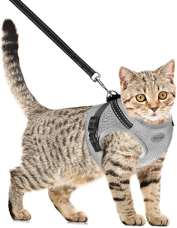 Cat Harness and Leash for Walking, Kitten Escape Proof Harnesses, Adjustable Reflective Puppy Harness with Leashes Set, Easy Adjustable Soft net Breathable Pet Safety Vest Grey