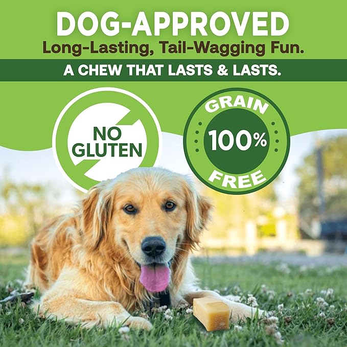 EcoKind Premium Gold Yak Cheese Himalayan Dog Chews, Dog Treats Large Breed, All Natural, High Protein, for Aggressive Chewers, Large - 8+ Chews (2 lb)