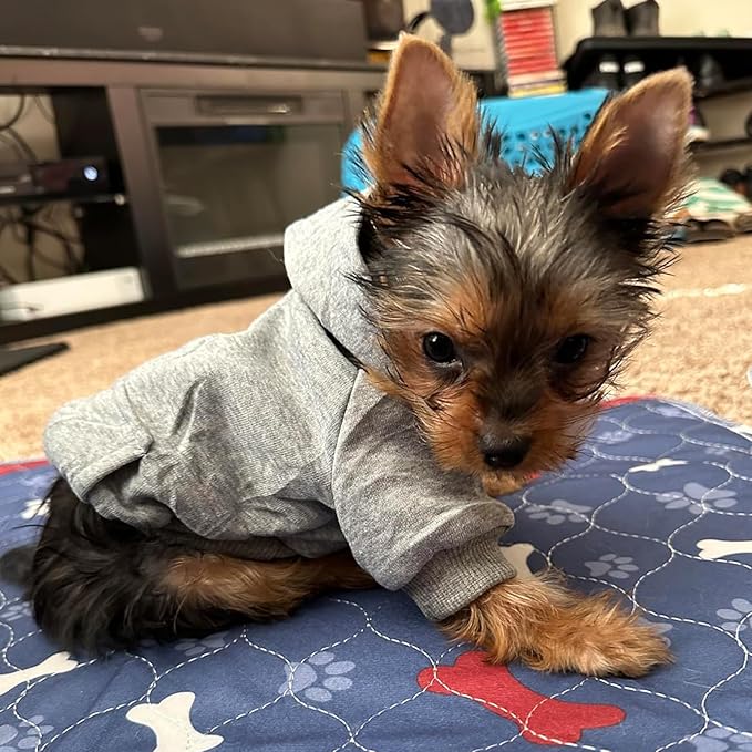 Jecikelon Winter Dog Hoodie Sweatshirts with Pockets Warm Dog Clothes for Small Dogs Chihuahua Coat Clothing Puppy Cat Custume (Grey, Large)