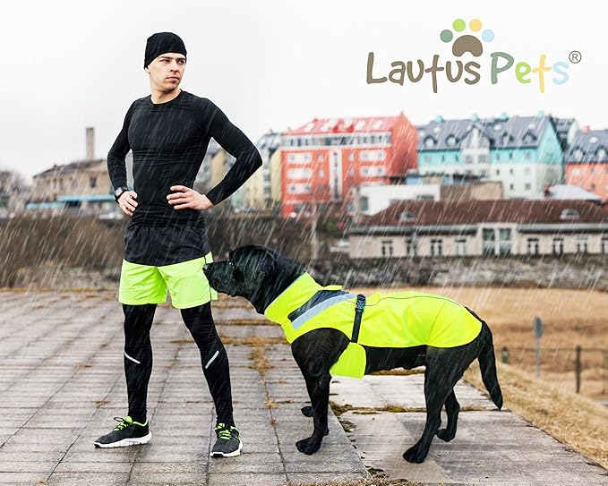 Dog Rain Coat - Waterproof, Reflective, Bright Yellow with Harness Hole (L, Yellow)