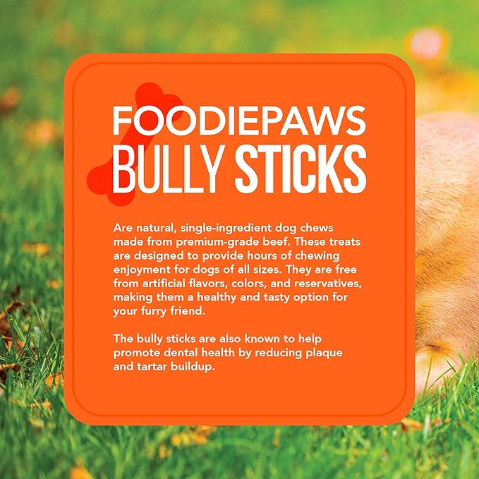 FOODIEPAWS Bully Stick Bites for Dogs, 1 lb Bulk Pack (2-3 Inch) | Training Treats | All Natural, Grass-Fed Beef Pizzle | Grain-Free, Rawhide-Free & Fully Digestible | High Protein Dental Chews