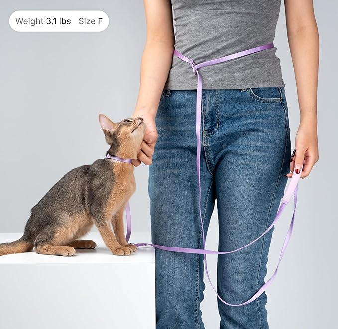 Cat Harness and Leash Set, Lightweight Escape Proof Cat Harness Leash with Padded Handle, Adjustable Cat Leash and Harness for Kitten Small Large Cats Walking Training (Blurple, M)