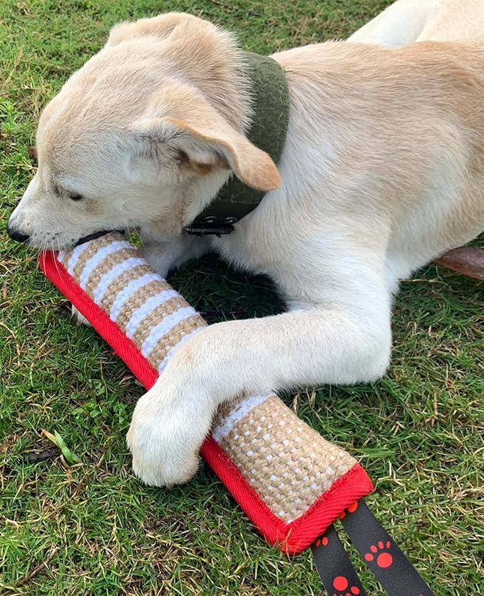 Clysoru Dog Tug Toy Dog Tough Jute Bite Pillow Lasting Training Equipment Puppy to Large Dogs Interactive Toy for Large Dogs and Small Dogs