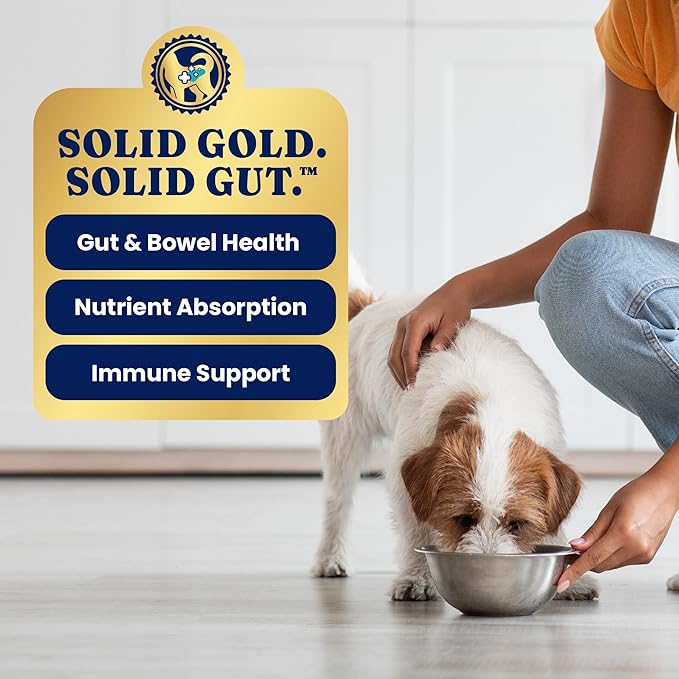 Solid Gold Lil' Boss Wet Dog Food, Turkey and Hearty Vegetable Recipe, Puppy & Adult Dogs of All Activity Levels, Toy and Small, 3.5 oz Cup, 12 Count