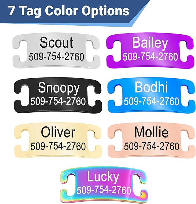 GoTags Personalized Cat Collars with Tag, Engraved Custom Cat Collar with Name and Phone, Breakaway Collar with Safety Buckle and Bell, Adjustable for Cats and Kitten (Orange with Nameplate)