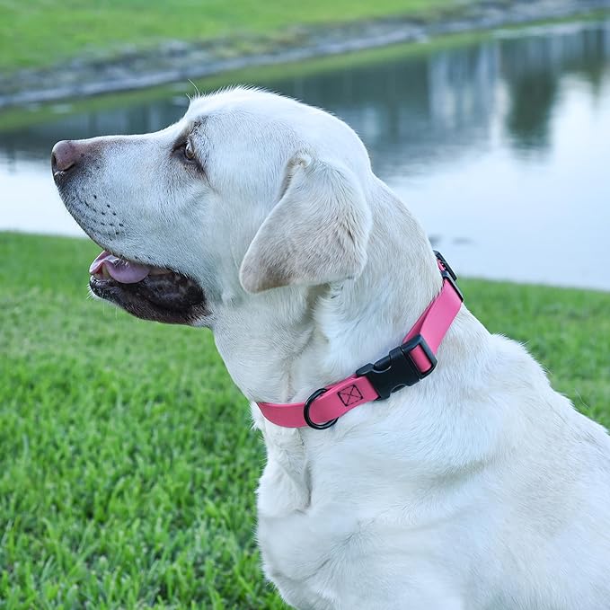 Dogline Biothane Waterproof Dog Collar with Quick Release Buckle Strong Coated Nylon Webbing with Odor- Proof for Easy Care Easy to Clean Fits Small Medium or Large Dogs, Pink 3/4" W 12-19" L