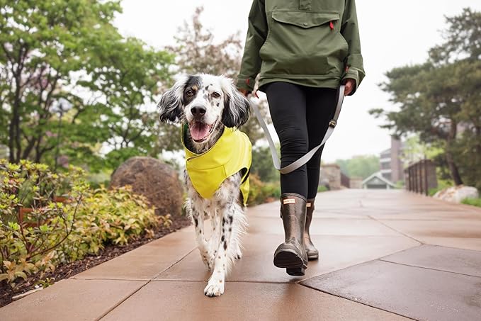 Goldpaw Rainpaw Waterproof Dog Raincoat - Durable Dog Rain Jacket for All Seasons - Easy to Wear, Adjustable, Premium Pet Outerwear - Made in The USA - Machine Washable - Navy - Size 16