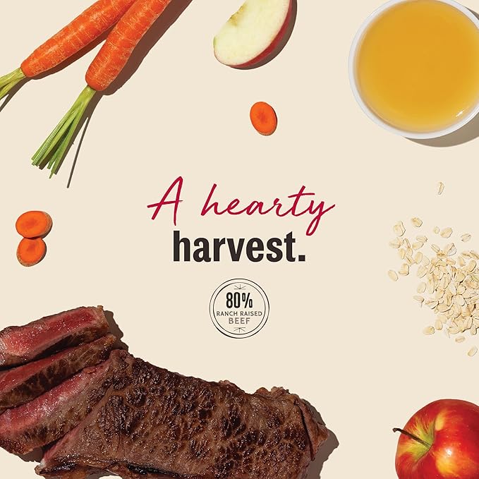 The Honest Kitchen Jerky Harvest Mini Bars: Beef Recipe With Carrots & Apples, 4 oz Bag