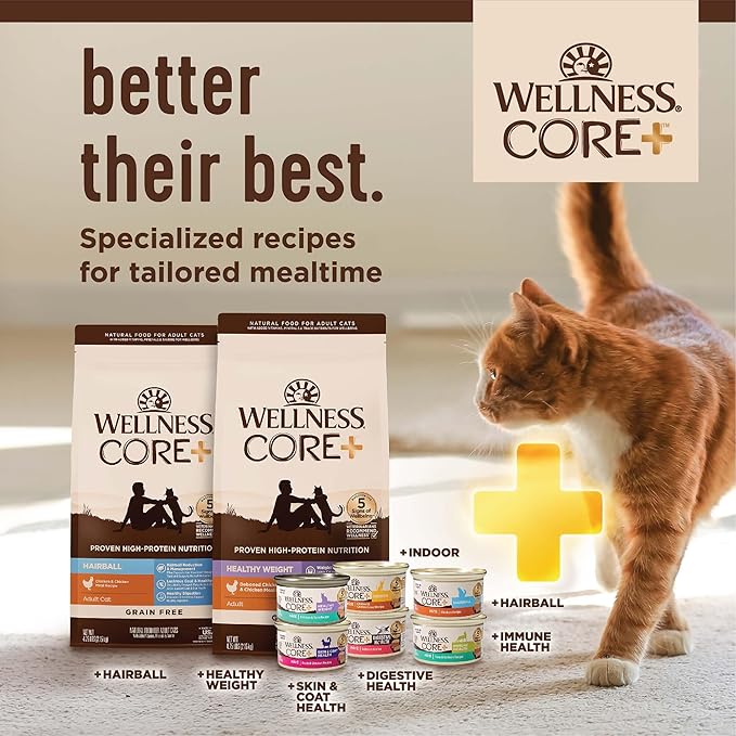 Wellness CORE+ Adult Dry Cat Food for Indoor Cats, Grain-Free, Natural, Salmon and Herring Meal (11 Pound Bag)