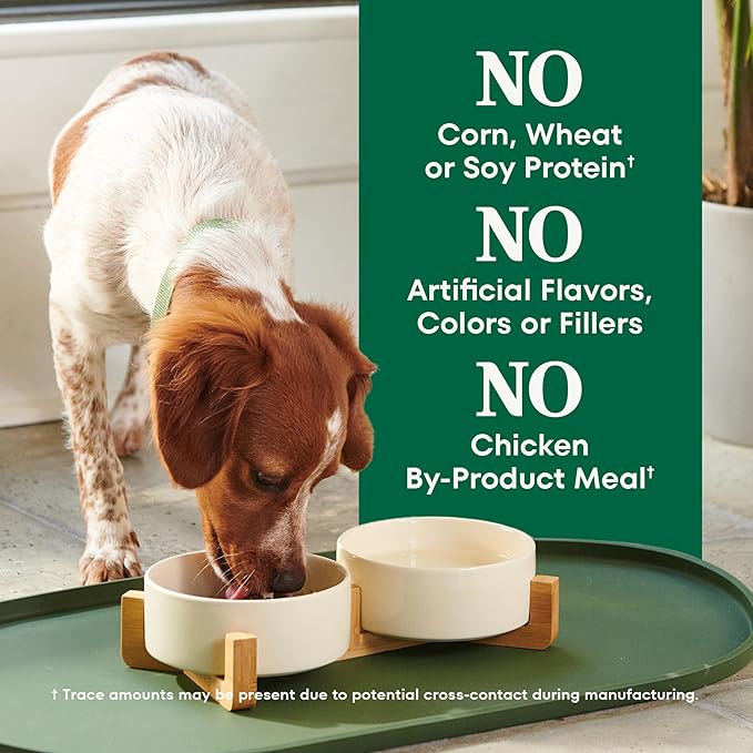 Nutro Natural Choice Chicken & Brown Rice Small Breed Dog Food Dry Recipe, 13 lb. Bag