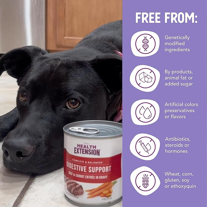 Health Extension Wet Dog Food Beef & Carrot Entrée in Gravy, 9 oz - Digestive Support with Superfoods & Antioxidants for Immune Support (Case of 12 Cans)