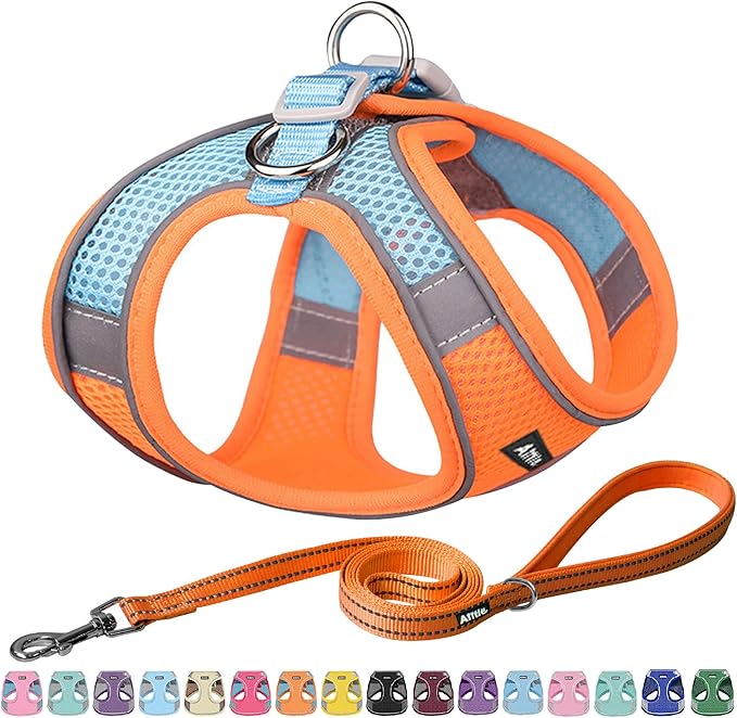 AIITLE Small Harness for Puppy with A Leash - Summer Dog Vest Harness with Super Breathable Mesh, Reflective No-Pull Pet Harness for Outdoor Walking, Camping for Small Dogs, Cats Orange XXS