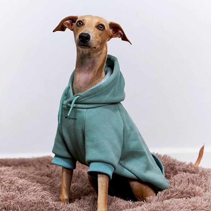 Tuff Pupper Dog Hoodie | Premium Quality 100% Organic Cotton | Ultra Soft Interior for Superior Comfort | Elastic Cuffs & Drawstring for Warmth | Stretch Fit Suitable for All Breeds (Teal, XS)