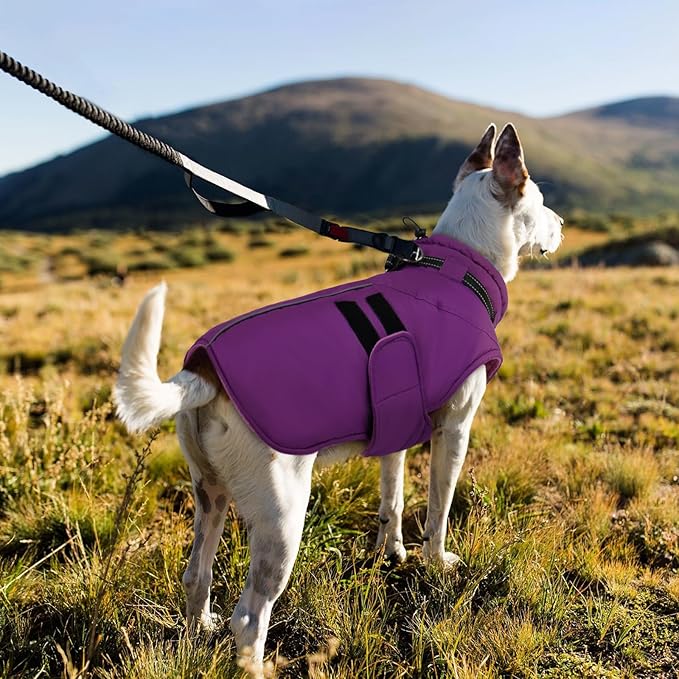 IECOii Dog Coats for Large Dogs Winter Waterproof Jacket with Collar Built in, XXL Dog Coat for Cold Weather Warm Snow Jacket with Thermal Fleece Lining, Reflective Pet Snowsuit Large, Purple - 2XL