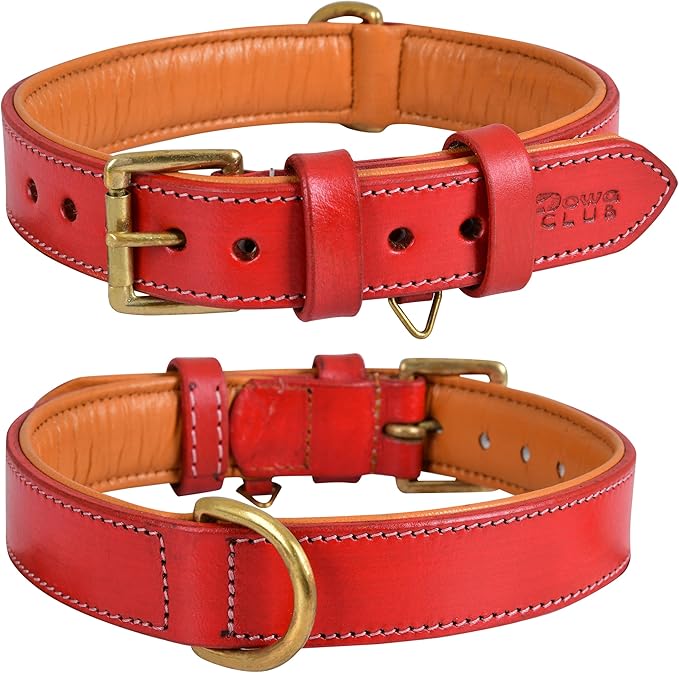 Leather Dog Collar for Medium Dogs, Red, 1 Inch Wide, Genuine Full Grain Leather, Heavy Duty with Soft Inner Padding, Comfortable and Durable (Medium (Fit Neck Size 14.5"-18.5"), Red)