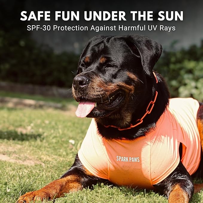 Spark Paws Sunblock Dog T-Shirt, SPF30 Protection, Lightweight Breathable Quick Dry for Dogs with Sensitive Skin - Purple & Peach (Set of 2) - M