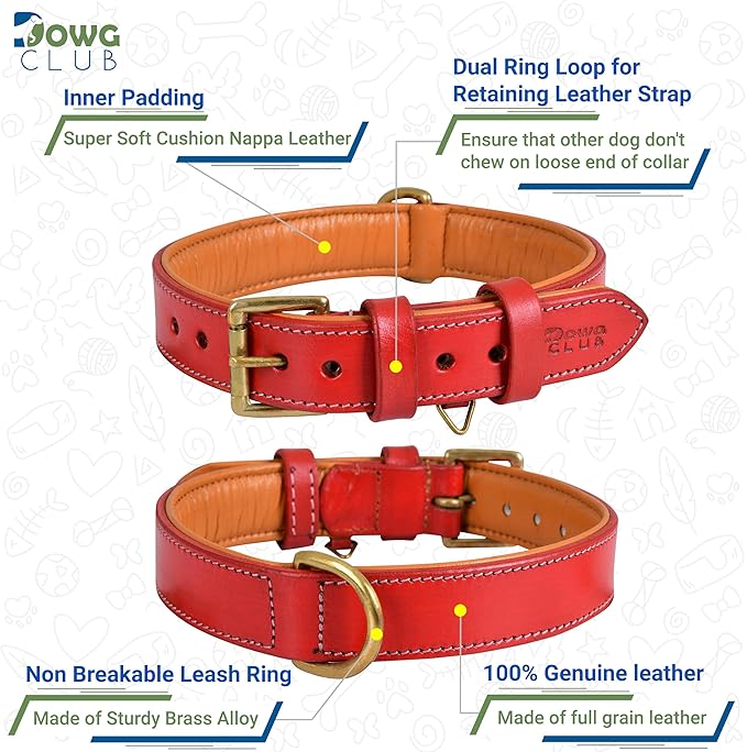 Leather Dog Collar for Extra Large Dogs, 1.5 Inch Wide Red Dog Collar | Genuine, Full Grain, Heavy Duty, Comfortable, Inner Soft Padding | (X-Large (Fit Neck Size 22"-26"), Red)